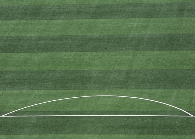 凭借其出色 凭借其出色